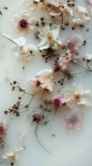 Fading Flowers Lying in Milk Bath