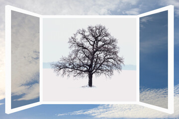 Abstract image of tree in winter on snow inside frame with image of cloudy blue sky