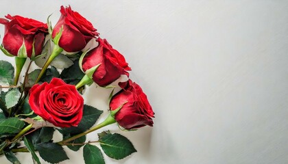Bouquet de roses rouges, romantique sur un fond clair . Posé à plat et vue de dessus avec un espace pour le texte