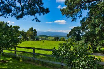 Fototapeta na wymiar Hills with green meadows and a wooden fence in the rolling hills near Healesville, Central Victoria, Australia. In the background the forested hills of the Yarra Range. 