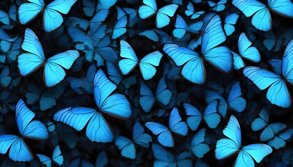 Large sworn of blue morpho butterflies  - obrazy, fototapety, plakaty
