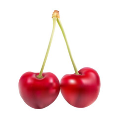 Juicy red cherry