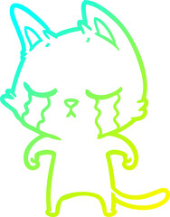 cold gradient line drawing crying cartoon cat