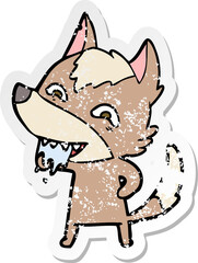 distressed sticker of a cartoon hungry wolf