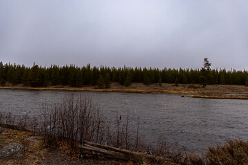 Dramatic View of Yellowstone National Park in the Winter with Some Snowfall