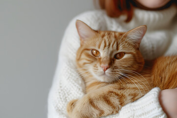 Red cat sits in the arms of a girl. Minimalistic pets style isolated over light background