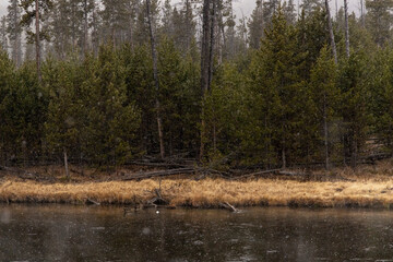 Obraz premium Dramatic View of Yellowstone National Park in the Winter with Some Snowfall