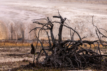 Dramatic View of Yellowstone National Park in the Winter with Some Snowfall