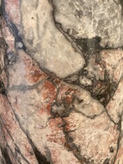 Veined Marble Brown Black and Red Rome Italy