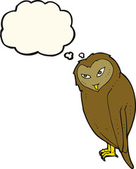 cartoon owl with thought bubble