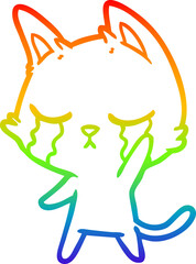 rainbow gradient line drawing crying cartoon cat