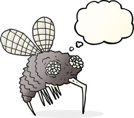 thought bubble cartoon fly