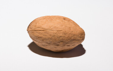 Walnuts are rounded, single-seeded stone fruits of the walnut tree.