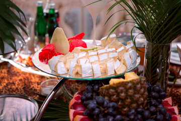 Variety of fruits are served on buffet table