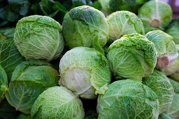 Image of fresh organic salad and cabbage in greengrocery shop