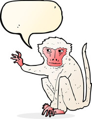 cartoon evil monkey with speech bubble