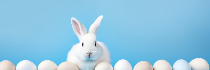 White Rabbit Peeking Behind a Row of Eggs