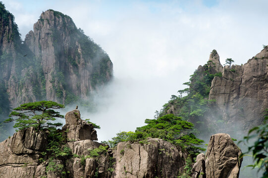 Clouds float amidst the Second Ring Road in Western Grand Canyon of Huangshan Yellow Mountains.