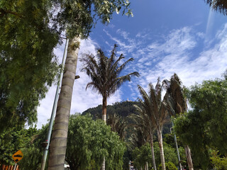 Montaña cerro de Monserrate Bogotá Colombia