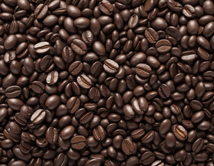 Fototapeta premium a lot of coffee beans - close up