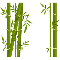 Fototapeta na wymiar Bamboo plant Illustration 