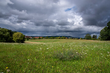 Saftige Frühlingswiese mit dunklen Regenwolken am Himmel