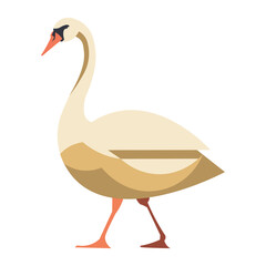 Farm goose, eco-friendly swan in a healthy environment in the countryside, with earth-toned feathers like brown, walking in profile. Vector illustration on a white background.
