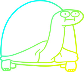 cold gradient line drawing cartoon tortoise