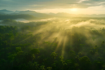 Sunlight Piercing Through Clouds in Jungle