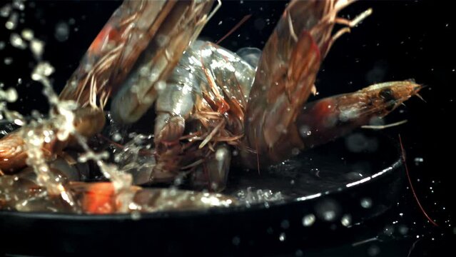 The shrimps fall into a wet plate. Filmed on a high-speed camera at 1000 fps. High quality FullHD footage