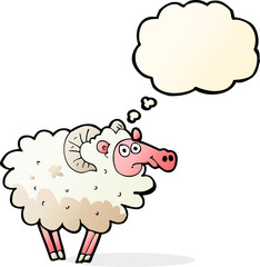 cartoon dirty sheep with thought bubble