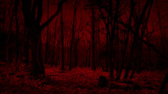 Moving Through Scary Red Woods