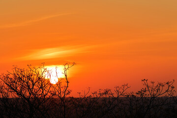 Sonnenuntergang - Krüger Park - Südafrika / Sundown - Kruger Park - South Africa /