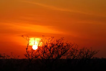 Fensteraufkleber Sonnenuntergang - Krüger Park - Südafrika / Sundown - Kruger Park - South Africa / © Ludwig