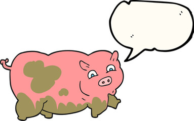 speech bubble cartoon pig
