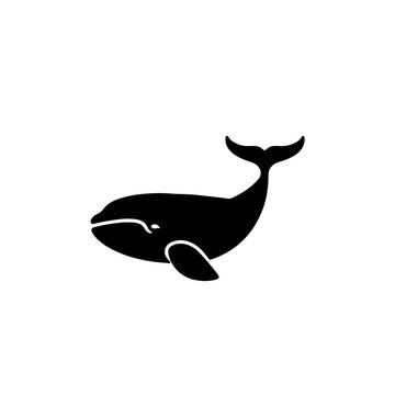 Blue Whale Logo Monochrome Design Style