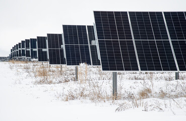 The Edge Of A Solar Panel Field