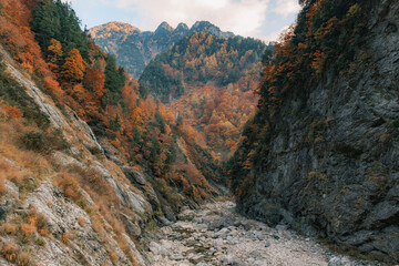 秋の峡谷