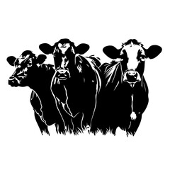 Herd Of Cattle Logo Monochrome Design Style - obrazy, fototapety, plakaty