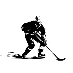 Hockey Logo Monochrome Design Style