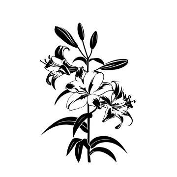 Lily Flowers Logo Monochrome Design Style