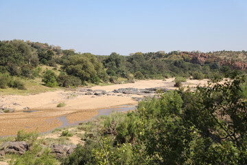 Afrikanischer Busch - Krügerpark - Timbavati River / African Bush - Kruger Park - Timbavati River /