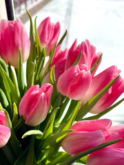 pink tulips