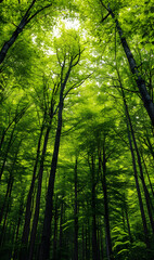 Fototapeta premium green forest textured monochromatic background, generative ai