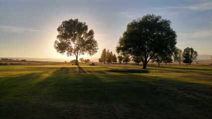 Fototapeta premium sunset in the green