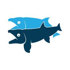 Mating salmon fish in retro style isolated on white background