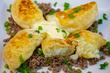 Traditional Ukrainian pierogi grilled in butter and served with minced meat and cream, decorated with fresh fine herbs