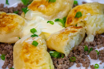 Traditional Ukrainian pierogi grilled in butter and served with minced meat and cream, decorated with fresh fine herbs