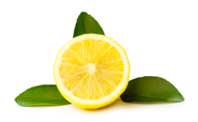 Front view of fresh yellow lemon half with leaves isolated with clipping path and shadow in png file format