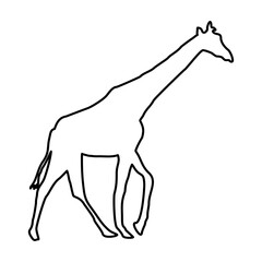 Giraffe Lines Style Icon Vector 